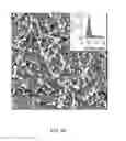 Fig. 08 - SINGLE-WALLED CARBON NANOTUBES/QUANTUM DOT HYBRID STRUCTURES AND METHODS OF MAKING AND USE OF THE HYBRID STRUCTURES