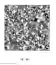Fig. 09 - SINGLE-WALLED CARBON NANOTUBES/QUANTUM DOT HYBRID STRUCTURES AND METHODS OF MAKING AND USE OF THE HYBRID STRUCTURES