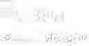 Fig. 16 - POLYMER COMPOUND AND ORGANIC TRANSISTOR USING SAME