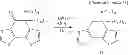 Fig. 32 - POLYMER COMPOUND AND ORGANIC TRANSISTOR USING SAME
