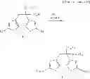 Fig. 34 - POLYMER COMPOUND AND ORGANIC TRANSISTOR USING SAME