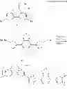 Fig. 37 - POLYMER COMPOUND AND ORGANIC TRANSISTOR USING SAME