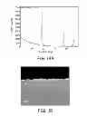 Fig. 09 - STRUCTURES INCORPORATING SILICON NANOPARTICLE INKS, DENSIFIED SILICON MATERIALS FROM NANOPARTICLE SILICON DEPOSITS AND CORRESPONDING METHODS