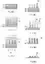 Fig. 33 - Layered product for fine pattern formation and method of manufacturing layered product for fine pattern formation