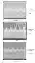 Fig. 46 - Layered product for fine pattern formation and method of manufacturing layered product for fine pattern formation
