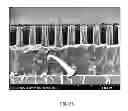 Fig. 83 - Layered product for fine pattern formation and method of manufacturing layered product for fine pattern formation