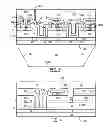 Fig. 04 - Lateral semiconductor light emitting diodes having large area contacts
