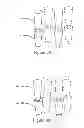 Fig. 28 - Memory Device Interconnects and Method of Manufacture
