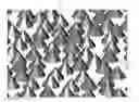 Fig. 01 - ABRASIVE COATING AND METHOD OF MANUFACTURING SAME
