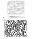 Fig. 04 - ABRASIVE COATING AND METHOD OF MANUFACTURING SAME