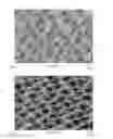 Fig. 05 - ABRASIVE COATING AND METHOD OF MANUFACTURING SAME