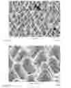 Fig. 07 - ABRASIVE COATING AND METHOD OF MANUFACTURING SAME