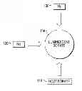 Fig. 01 - Luminescent borates, luminescent materials and articles incorporating such borates