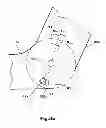 Fig. 09 - Seating arrangement for a passenger vehicle