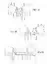 Fig. 08 - GANGING DEVICE FOR CHAIR