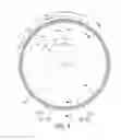 Fig. 03 - Bicycle rim