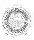 Fig. 01 - Rotor with blade portions and rotating electric machine having the same
