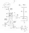 Fig. 01 - Network-controlled charging system for electric vehicles