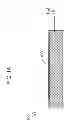 Fig. 02 - Integrated carbon nanotube field effect transistor and nanochannel for sequencing