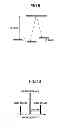 Fig. 08 - Surface emitting laser device and atomic oscillator