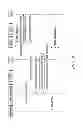 Fig. 07 - Toolstring communication in cable telemetry