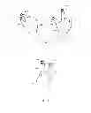 Fig. 09 - COMPUTER INPUT DEVICE FOR HAND-HELD DEVICES
