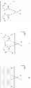 Fig. 44 - Transition metal complex and organic light-emitting element using same, color-converting light-emitting element, light-converting light-emitting element, organic laser diode light-emitting element, dye laser, display device, illumination device, and electronic equipment