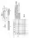 Fig. 08 - System and method for efficient resource management of a signal flow programmed digital signal processor code