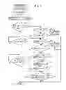 Fig. 09 - Print medium