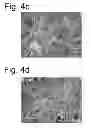Fig. 06 - RANKING COLOR CORRECTION PROCESSES