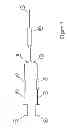Fig. 05 - QUAD OPTICAL TIME DOMAIN REFLECTOMETER (OTDR)