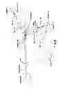 Fig. 06 - Methods and apparatus for determining characteristics of particles