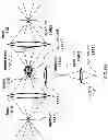 Fig. 117 - Methods and apparatus for determining characteristics of particles