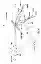 Fig. 35 - Methods and apparatus for determining characteristics of particles