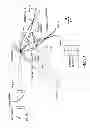 Fig. 43 - Methods and apparatus for determining characteristics of particles