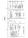 Fig. 04 - Information processing apparatus capable of setting insert, image forming apparatus, method of controlling the information processing apparatus, and storage medium