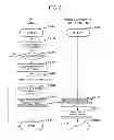 Fig. 04 - Printing system and printing method wherein print data formed by print data forming device are printed by printer apparatus