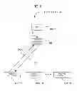 Fig. 09 - Printing system and printing method wherein print data formed by print data forming device are printed by printer apparatus