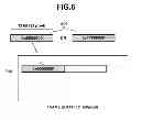 Fig. 07 - Image processing for rendering an indexed color image