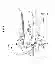 Fig. 07 - Image reading apparatus and image forming apparatus