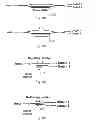 Fig. 06 - OPTICAL SIGNAL MODULATION