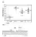 Fig. 07 - ELECTRONIC COMPONENT EMBEDDED PRINTING CIRCUIT BOARD AND METHOD FOR MANUFACTURING THE SAME