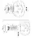 Fig. 07 - ORNAMENTAL LIGHT SET