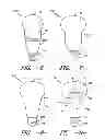 Fig. 07 - LAMP WITH INTEGRATED ELECTRONICS AND THERMALLY PROTECTIVE FEATURES