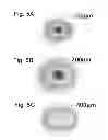 Fig. 06 - Light emitting device and vehicle lamp