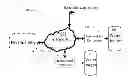 Fig. 01 - Overlay network topology system and a network node device therefor