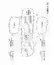 Fig. 13 - SYSTEMS AND METHODS OF ROUTING IP TELEPHONY DATA PACKET COMMUNCIATIONS