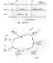 Fig. 02 - Method and device for optimizing access to a medium in a communication network