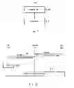 Fig. 04 - WIRELESS COMMUNICATION SYSTEM, BASE STATION, CONTROL NODE, MOBILE STATION, METHOD RELATING TO THESE, AND COMPUTER READABLE MEDIUM