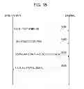 Fig. 15 - Terminal, base station, communications system, and communication method